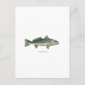 弱魚 ポストカード (正面)