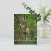 張家寺江国立公園のはがき ポストカード (スタンド正面)