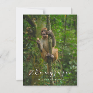 張家寺江国立公園のはがき ポストカード