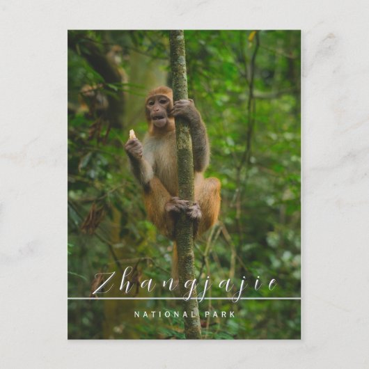 張家寺江国立公園のはがき ポストカード (正面)