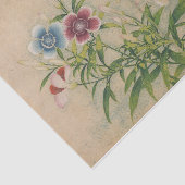 張老愛のピンクス 薄葉紙 (詳細)