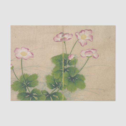 張若靄によるタチアオイの花 薄葉紙 (正面)