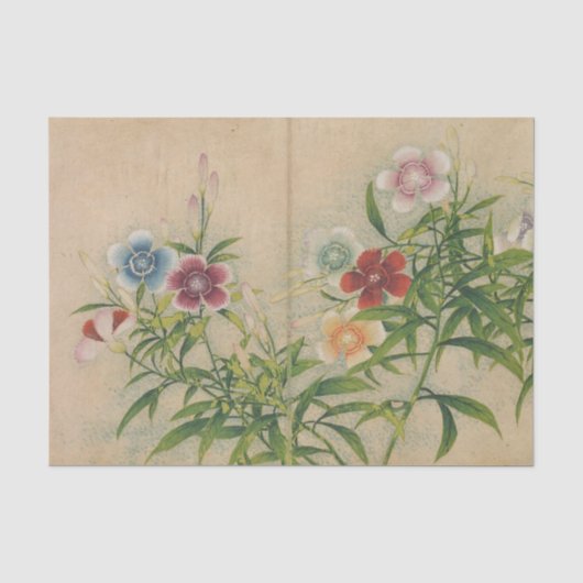 張若靄のピンク 薄葉紙 (正面)