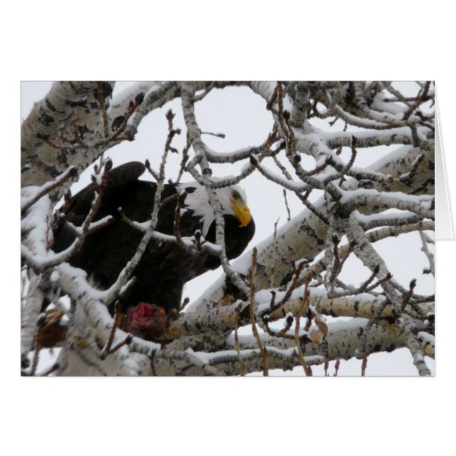 強いの生き延びます (正面横)