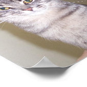 強いネコ愚かな人間… ポスター (角)