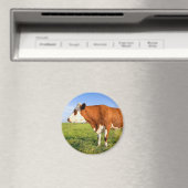 強いフリシア牛 マグネット (インサイチュ (食洗機))