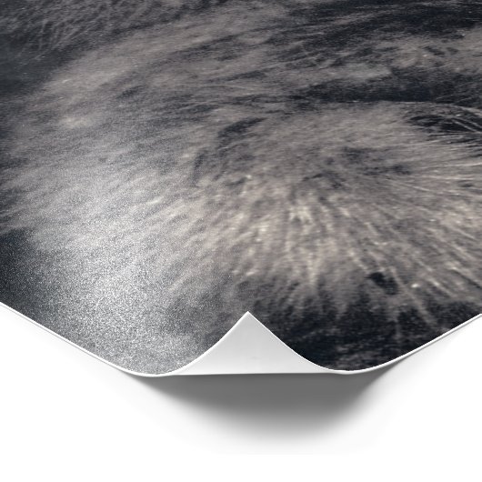 強いマママポーラベアカブ フォトプリント            (角)