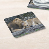 強いライオンの愛 スクエアペーパーコースター (アングル)