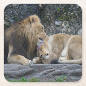 強いライオンの愛 スクエアペーパーコースター (正面)