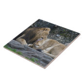 強いライオンの愛 タイル (側面)