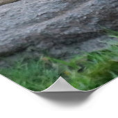 強いライオンの愛 ポスター (角)