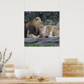 強いライオンの愛 ポスター (キッチン)