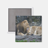 強いライオンの愛 マグネット (正面/裏面)