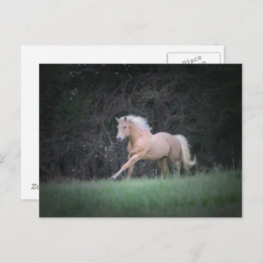 強い欲求 ポストカード (正面/裏面)