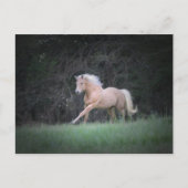 強い欲求 ポストカード (正面)