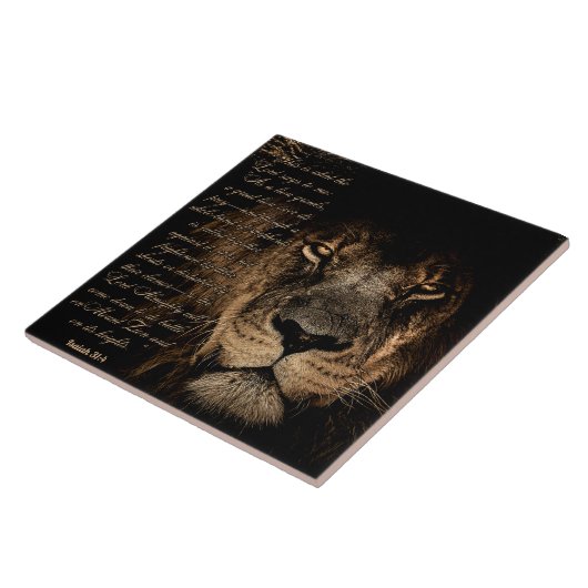 強い獅子 タイル (側面)