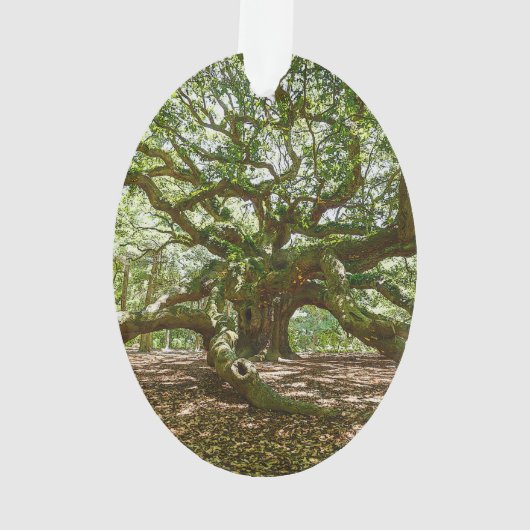 強くおよびはっきりした オーナメント (裏面)