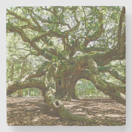 強くはっきりしたて ストーンコースター (正面)