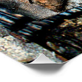 強さのクロス ポスター (コーナー)