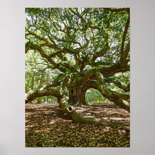 強はっきりしたく ポスター (正面)