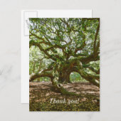 強はっきりしたく ポストカード (正面/裏面)