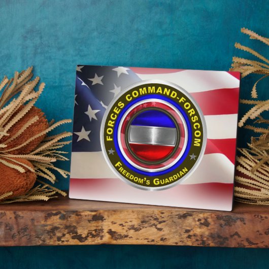 強制コマンドFORSCOM フォトプラーク (側面)