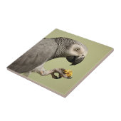 強力なコンゴアフリカ産灰色オウムの鼻 タイル (側面)