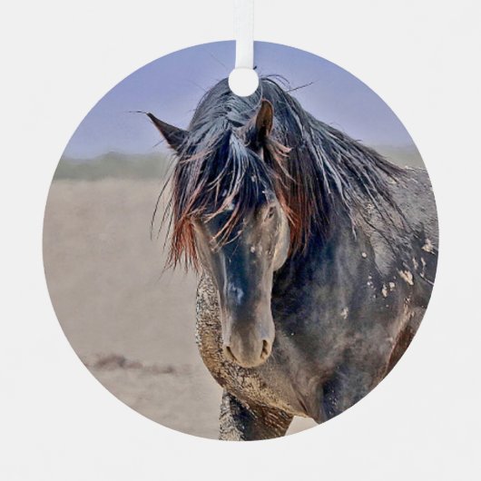 強力なスタリオンオーナメント メタルオーナメント (正面)