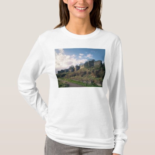 強化の眺め、1226-42年 Tシャツ (正面)