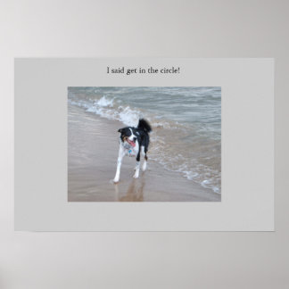 強大なコリー ポスター