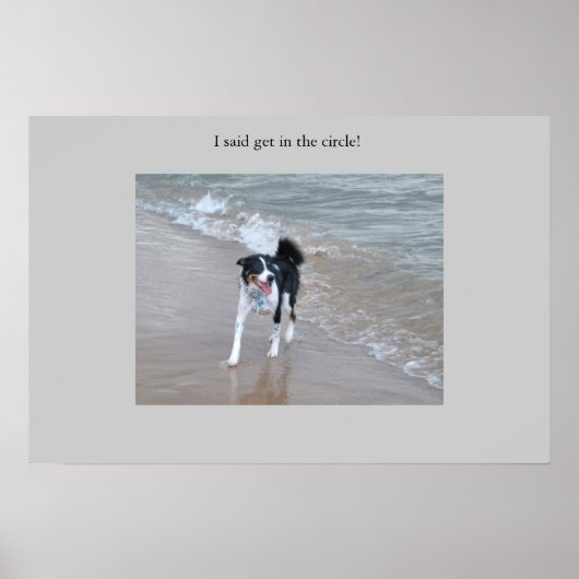 強大なコリー ポスター (正面)