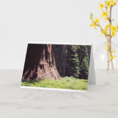 強大なセコイア カード (黄色い花)