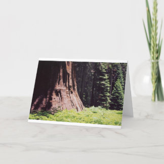 強大なセコイア カード