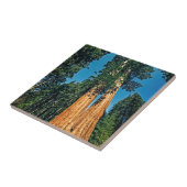 強大なレッドウッド タイル (側面)