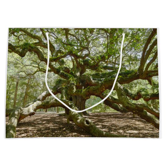 強大な天使のカシ ラージペーパーバッグ (正面)