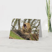 強大な獅子 カード (正面)