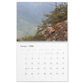 強大な雑種犬の能動態犬 カレンダー (1月 2026)