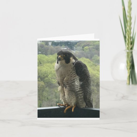 強姦 カード (正面)