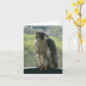 強姦 カード (黄色い花)