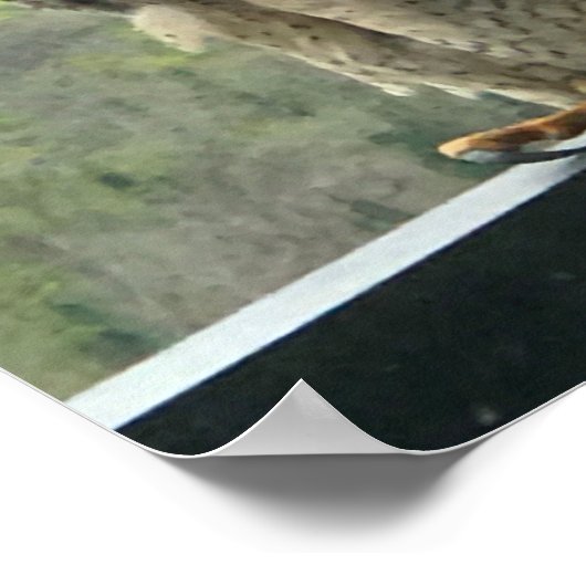 強姦 ポスター (角)