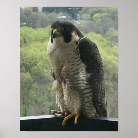 強姦 ポスター (正面)