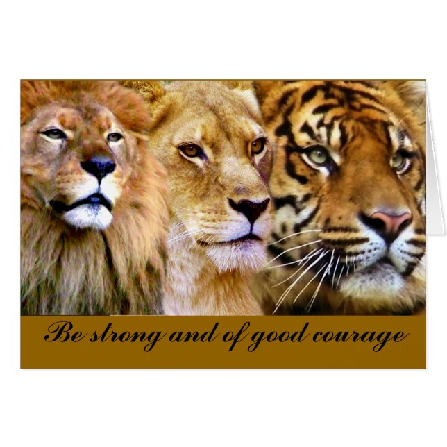 強度とパワー_ (正面横)