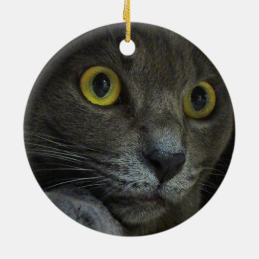 強度のオーナメント セラミックオーナメント (裏面)