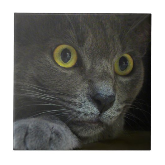 強度の装飾的なタイル タイル (正面)