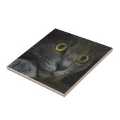 強度の装飾的なタイル タイル (側面)