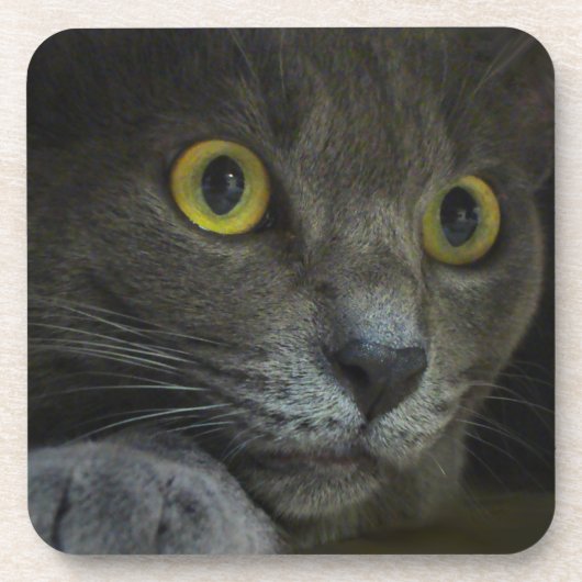 強度コルクコースター コースター (正面)