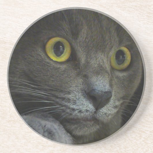 強度コースター コースター (正面)