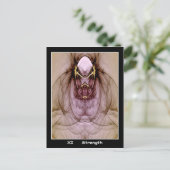 強度タロットカード ポストカード (スタンド正面)