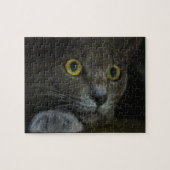 強度パズル ジグソーパズル (横)