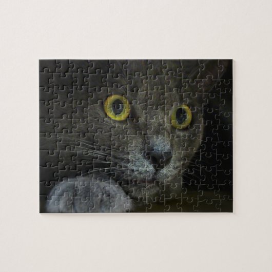 強度パズル ジグソーパズル (横)